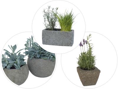category image of the category “Troughs, pots and bowls”
