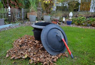 category image of the category “Upcycled - tires as containers for the garden”