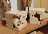 Product image 1 of the product “shell limestone as cube, 15x15cm ”