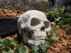 Artikelbild 1 des Artikels “Schädel, Totenkopf, 17 cm “