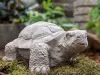 Artikelbild 1 des Artikels “Große Schildkröte, Tierfigur, 40 cm “