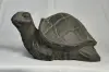 Artikelbild 1 des Artikels “Schildkröte, ca. 25 cm lang “