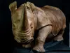 Artikelbild 1 des Artikels “Unikat: Rhinozeros – einer der Big Five als Holzkunstwerk; 150 cm “