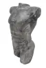 Product image 1 of the product “Male torso, ca. 50 cm H ”