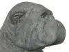 Artikelbild 1 des Artikels “sitzende Bulldogge, ca. 115 cm, Steinguss “
