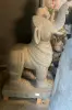 Artikelbild 1 des Artikels “Gajasimha, Reproduktion “