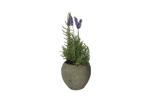 Artikelbild des Artikels “SALE - Pflanzgefäß, rund, glatt, bauchig, 13 cm H “