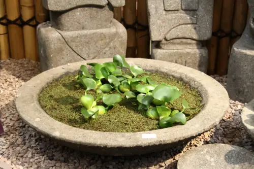 Artikelbild des Artikels “Schale Modell Lotus, bossierte Außenfläche, 50 cm Ø “