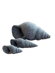 Artikelbild des Artikels “Schneckenhaus, gedreht, Größe M “