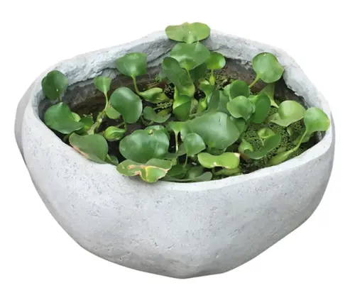 Artikelbild des Artikels “Wassergefäß, 50 cm, Steinguss “