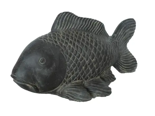 Artikelbild des Artikels “Koi-Karpfen, ca. 75 cm lang “