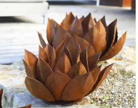 Artikelbild des Artikels “Edelrost-Agave, Größe Ø bis 60cm “