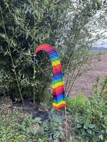 Artikelbild des Artikels “Bali-Fahne Regenbogen – 120 cm mit Bambusstab “