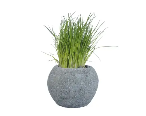 Artikelbild des Artikels “Pflanzgefäß (Kräutertopf), rund, glatt, Ø 20,5 cm “