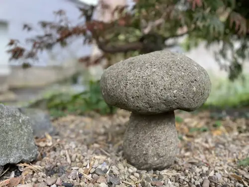 Artikelbild des Artikels “Pilz-Objekt, aus einem Stück, Größe L “