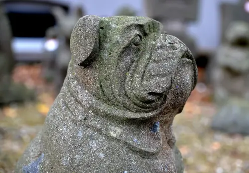 Artikelbild des Artikels “Sitz. Bulldogge auf Sockel, ca. 60 cm hoch “