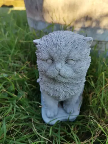 Artikelbild des Artikels “Katze, 
