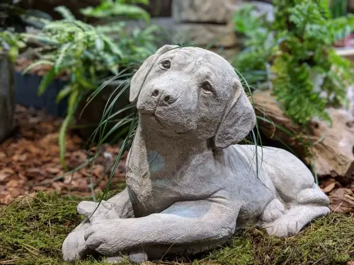 Artikelbild des Artikels “Hund, Labrador mit Knochen, 40 cm “