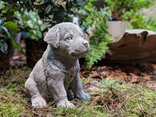 Artikelbild des Artikels “Kleiner Rottweiler, Tierfigur, 16 cm “