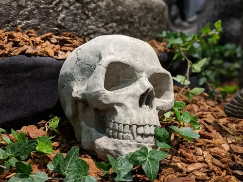 Artikelbild des Artikels “Schädel, Totenkopf, 17 cm “