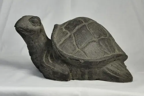 Artikelbild des Artikels “Schildkröte, ca. 25 cm lang “