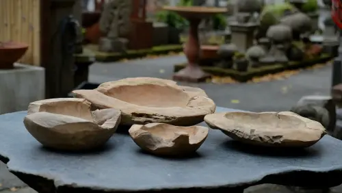 Artikelbild des Artikels “Holz Schale Erosiv “