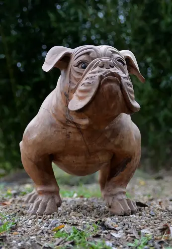 Artikelbild des Artikels “Französische Bulldogge, 75 cm “
