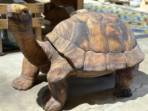 Artikelbild des Artikels “Schildkröte, 80 cm “