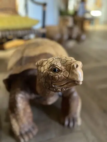 Artikelbild des Artikels “Schildkröte – Skulptur aus Suarholz, ca. 80 cm Länge “