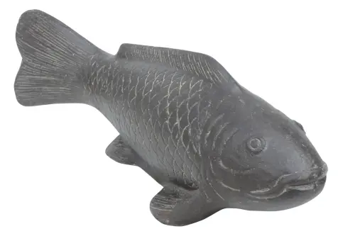 Artikelbild des Artikels “Koikarpfen 60 cm “
