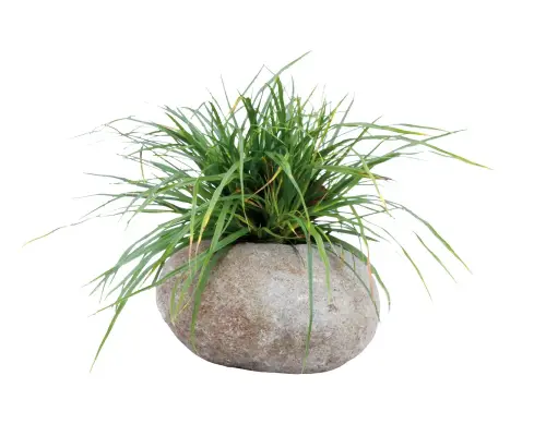 Artikelbild des Artikels “Pflanzgefäß, ausgehöhlter Stein, Größe M “