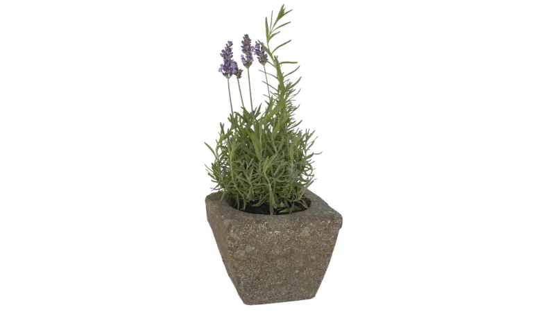 Pflanzgefäß, eckig, glatt, 15 cm 