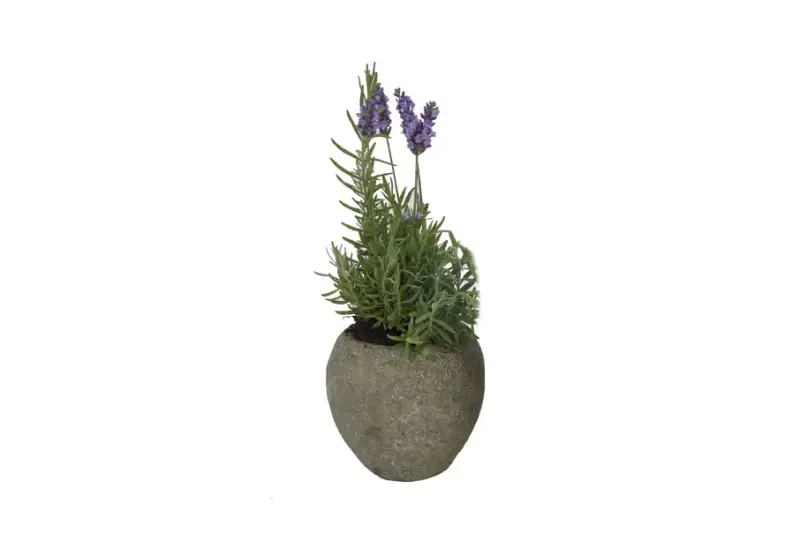 Artikelbild 1 des Artikels “SALE - Pflanzgefäß, rund, glatt, bauchig, 13 cm H “