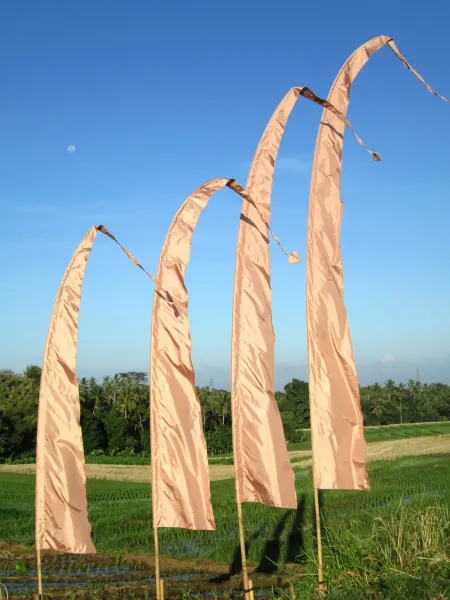 Original Balifahne, RESTPOSTEN champagner | 4 Meter