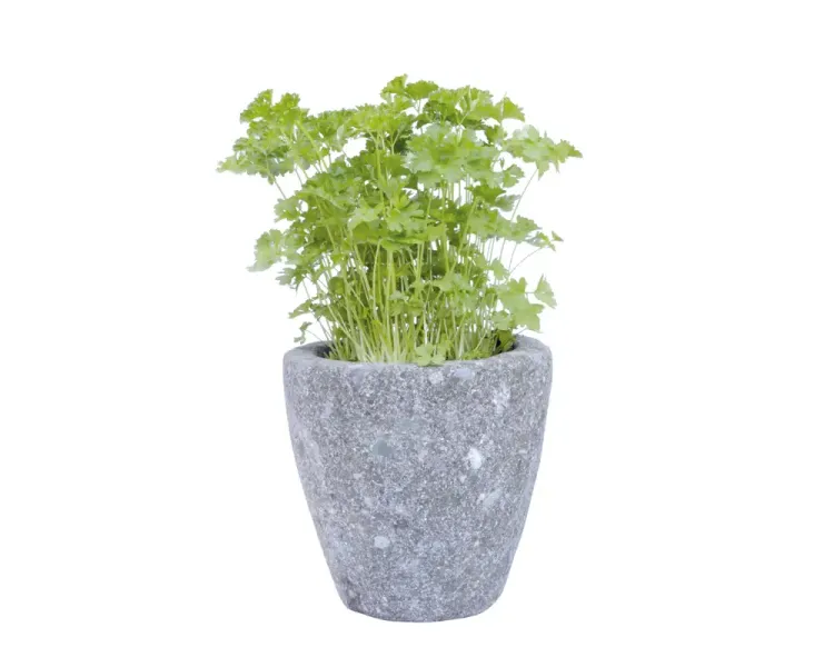 Pflanzgefäß (Kräutertopf), rund, glatt, konkav, 16 cm 