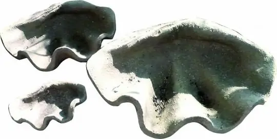 Muscheldeko, 50 cm lang, Größe M 