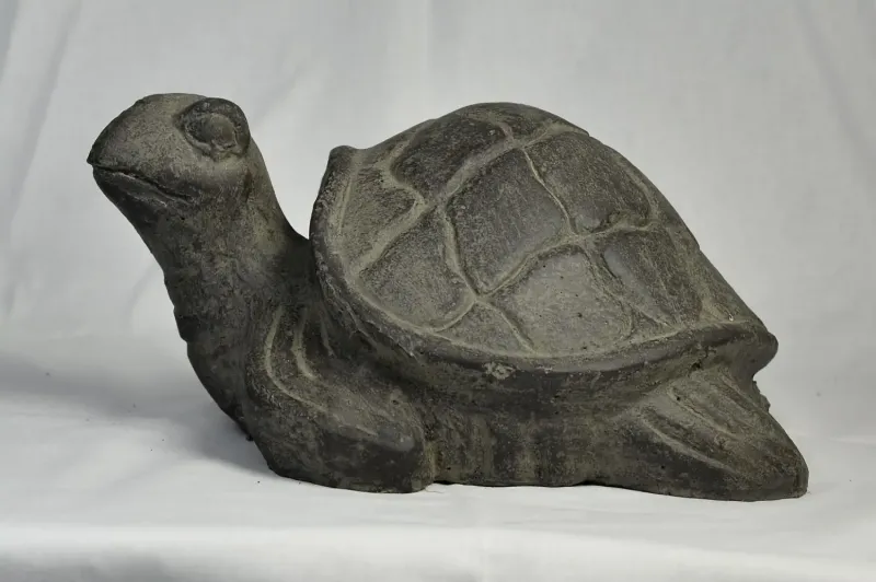 Schildkröte, ca. 25 cm lang 