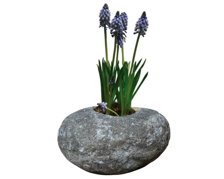 Product image 1 of the product “Planter, hollowed out stone, size XL ”