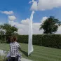 morepic-1
