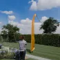 morepic-1