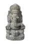 morepic-1