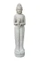 morepic-1