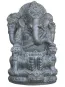 morepic-1