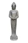morepic-1