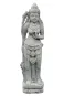 morepic-1