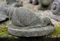 morepic-1