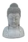 morepic-1