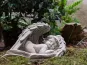 morepic-1