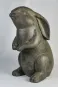 morepic-1