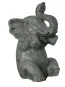 morepic-1
